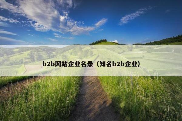 b2b网站企业名录（知名b2b企业）