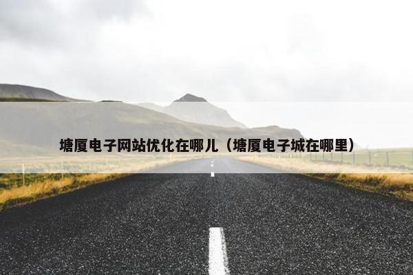 塘厦电子网站优化在哪儿（塘厦电子城在哪里）