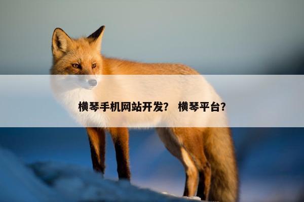横琴手机网站开发？ 横琴平台？