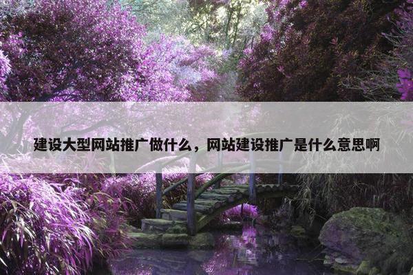 建设大型网站推广做什么，网站建设推广是什么意思啊
