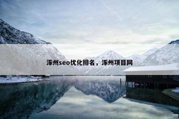 涿州seo优化排名，涿州项目网