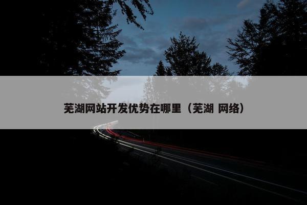 芜湖网站开发优势在哪里（芜湖 网络）