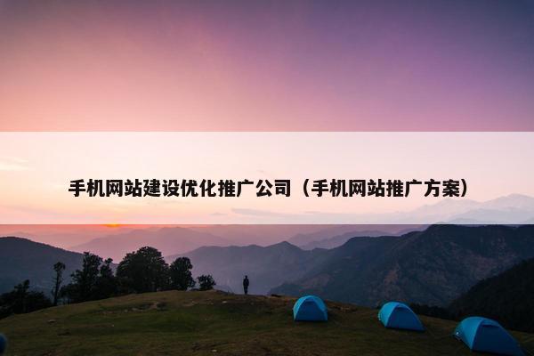 手机网站建设优化推广公司（手机网站推广方案）