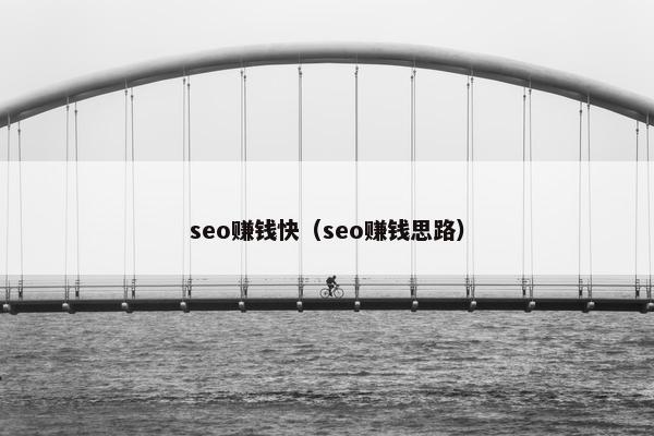 seo赚钱快（seo赚钱思路）