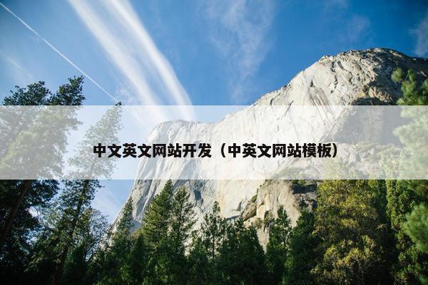 中文英文网站开发（中英文网站模板）