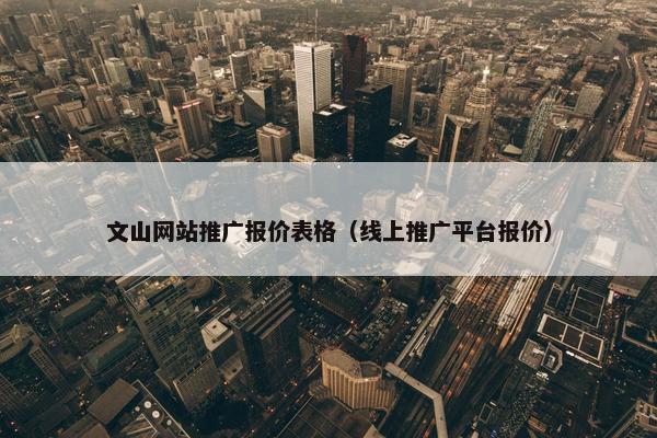 文山网站推广报价表格（线上推广平台报价）