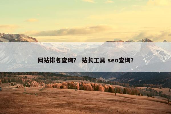 网站排名查询？ 站长工具 seo查询？