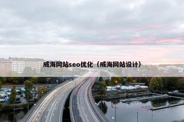威海网站seo优化（威海网站设计）