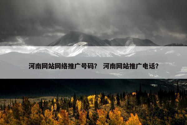 河南网站网络推广号码？ 河南网站推广电话？