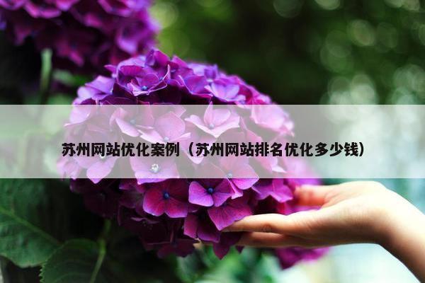 苏州网站优化案例（苏州网站排名优化多少钱）