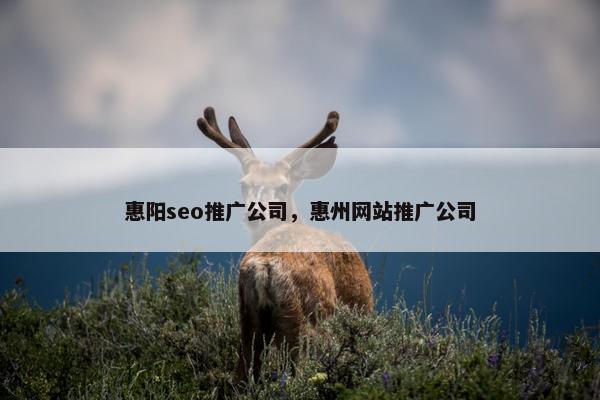 惠阳seo推广公司，惠州网站推广公司