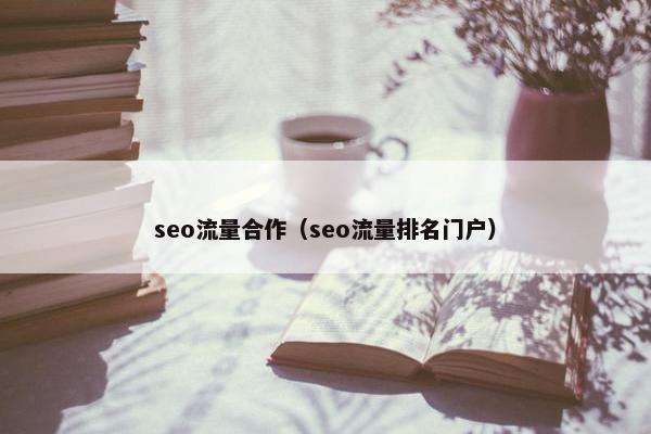 seo流量合作（seo流量排名门户）