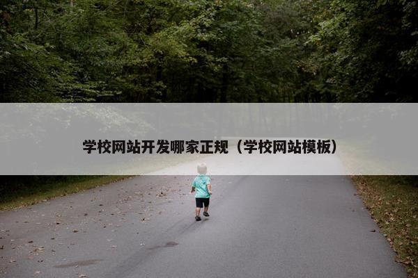 学校网站开发哪家正规（学校网站模板）