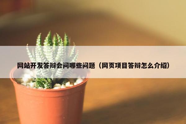 网站开发答辩会问哪些问题（网页项目答辩怎么介绍）