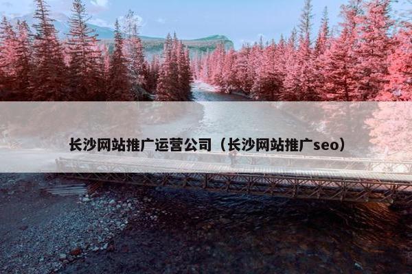 长沙网站推广运营公司（长沙网站推广seo）