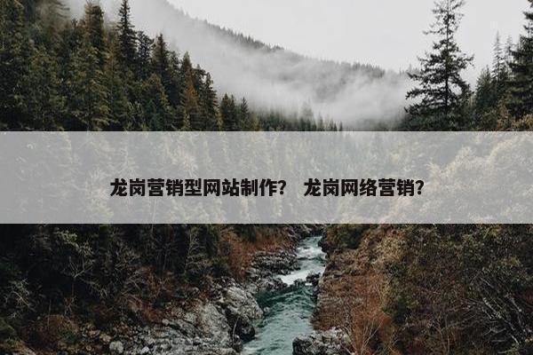 龙岗营销型网站制作？ 龙岗网络营销？