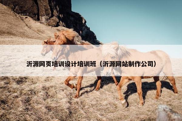 沂源网页培训设计培训班（沂源网站制作公司）