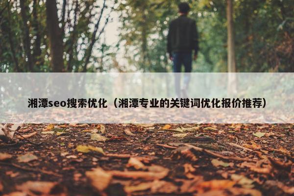 湘潭seo搜索优化（湘潭专业的关键词优化报价推荐）