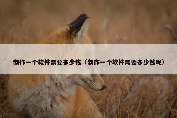 制作一个软件需要多少钱（制作一个软件需要多少钱呢）