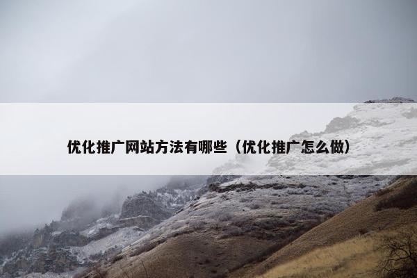 优化推广网站方法有哪些（优化推广怎么做）