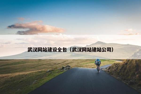 武汉网站建设全包（武汉网站建站公司）