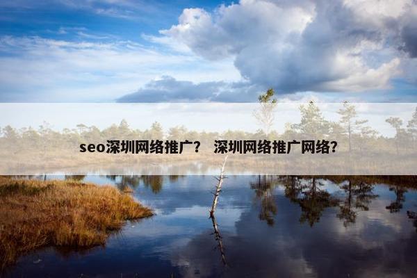seo深圳网络推广？ 深圳网络推广网络？