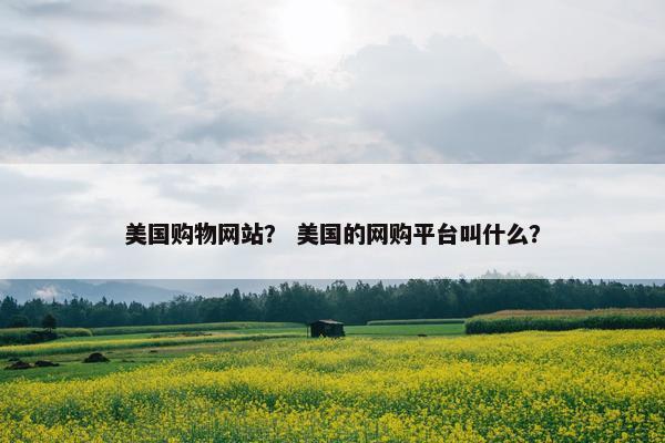 美国购物网站？ 美国的网购平台叫什么？
