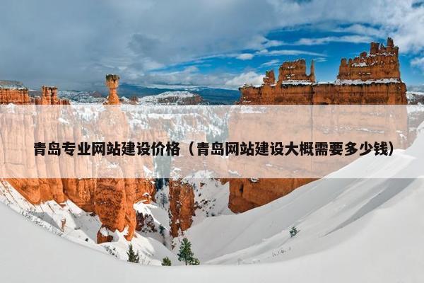 青岛专业网站建设价格（青岛网站建设大概需要多少钱）