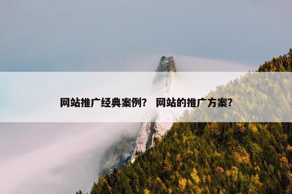 网站推广经典案例？ 网站的推广方案？