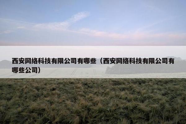 西安网络科技有限公司有哪些（西安网络科技有限公司有哪些公司）