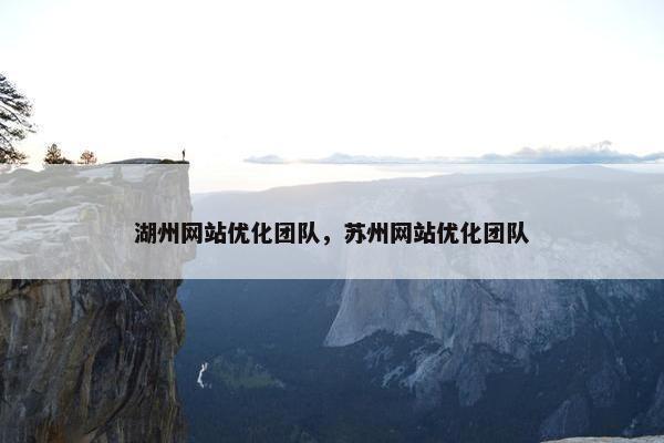 湖州网站优化团队，苏州网站优化团队
