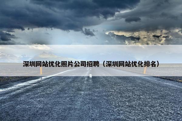 深圳网站优化照片公司招聘（深圳网站优化排名）
