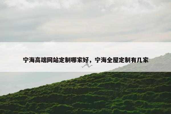 宁海高端网站定制哪家好，宁海全屋定制有几家