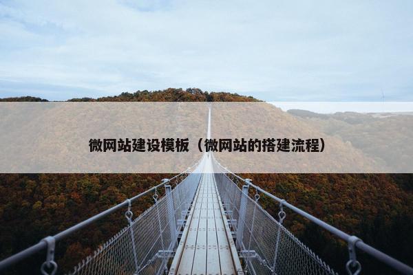 微网站建设模板（微网站的搭建流程）