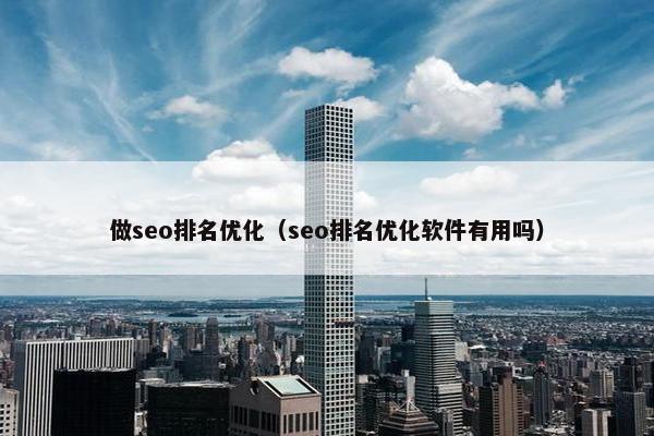 做seo排名优化（seo排名优化软件有用吗）