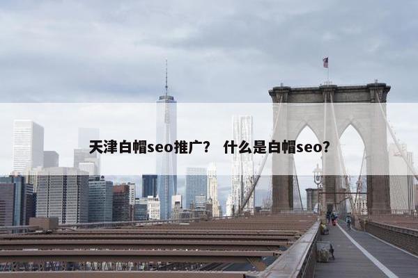 天津白帽seo推广？ 什么是白帽seo？
