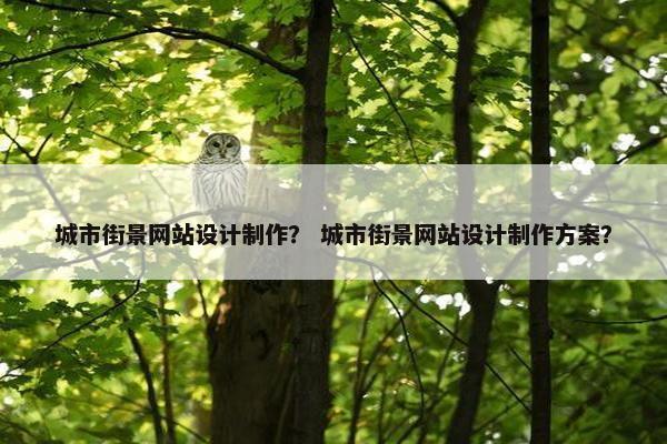 城市街景网站设计制作？ 城市街景网站设计制作方案？