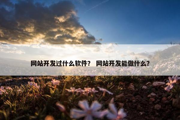 网站开发过什么软件？ 网站开发能做什么？