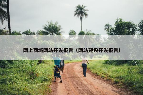 网上商城网站开发报告（网站建设开发报告）