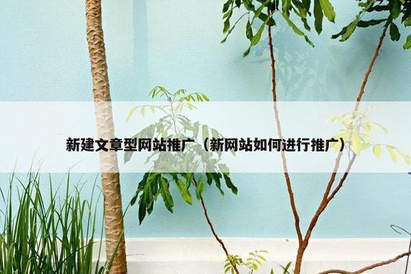 新建文章型网站推广（新网站如何进行推广）