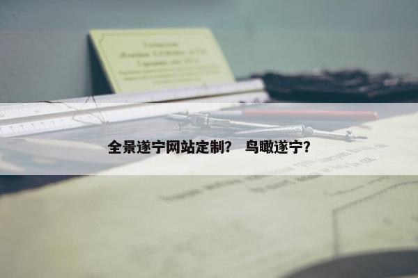 全景遂宁网站定制？ 鸟瞰遂宁？
