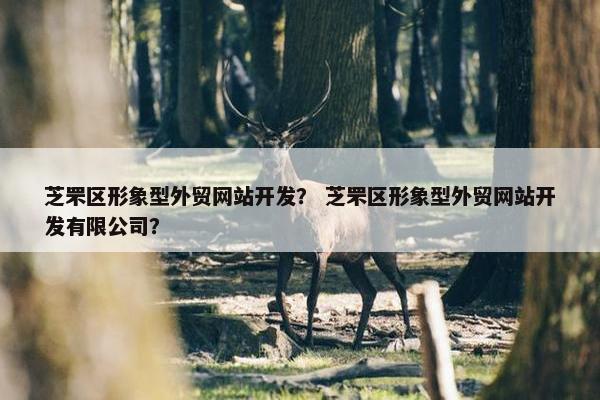 芝罘区形象型外贸网站开发？ 芝罘区形象型外贸网站开发有限公司？