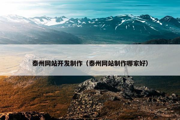 泰州网站开发制作（泰州网站制作哪家好）