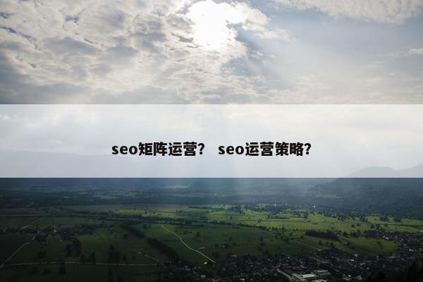 seo矩阵运营？ seo运营策略？
