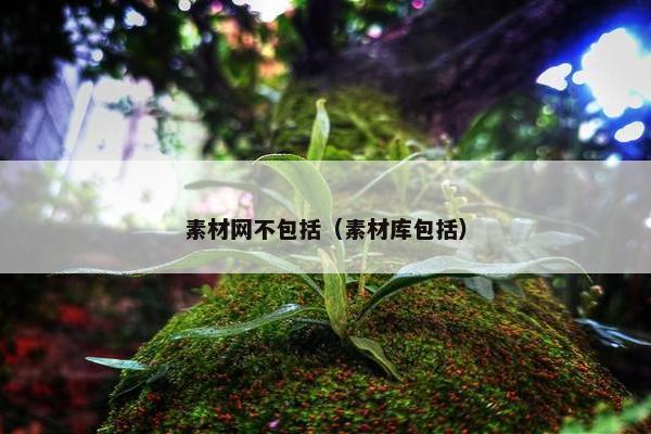 素材网不包括（素材库包括）