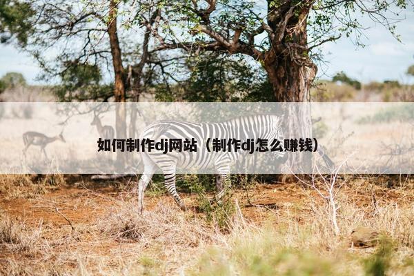 如何制作dj网站（制作dj怎么赚钱）