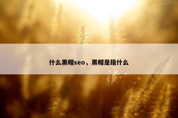 什么黑帽seo，黑帽是指什么