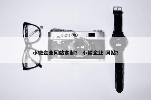 小微企业网站定制？ 小微企业 网站？