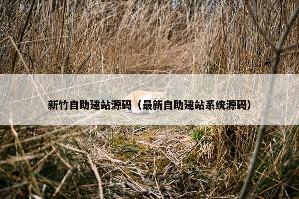 新竹自助建站源码（最新自助建站系统源码）