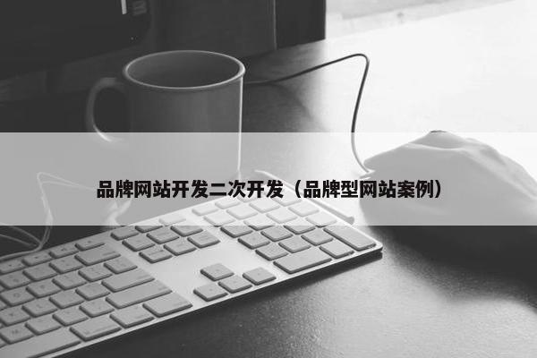 品牌网站开发二次开发（品牌型网站案例）